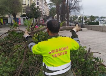 El futuro laboral de los trabajadores de las Brigadas Verdes seguirá sin resolverse, al menos, durante un mes más.