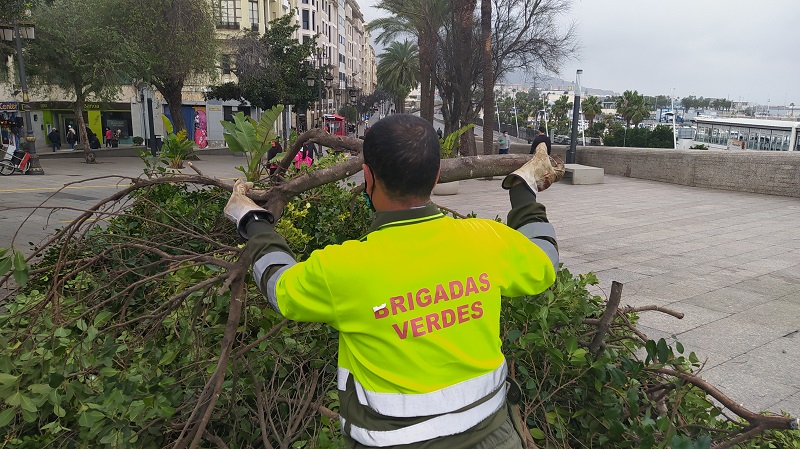 El futuro laboral de los trabajadores de las Brigadas Verdes seguirá sin resolverse, al menos, durante un mes más.