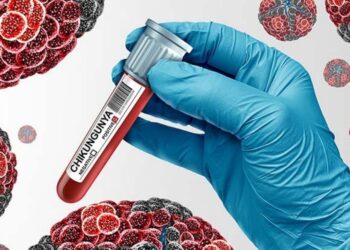 Alerta sanitaria: incremento de casos de chikungunya en viajeros provenientes de Seychelles