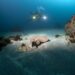 El MDyC reprocha al Gobierno una década de demora para regular el buceo recreativo y profesional en Ceuta
