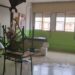 xr:d:DAFs57hkwZ4:1001,j:8203713633876709932,t:23102313